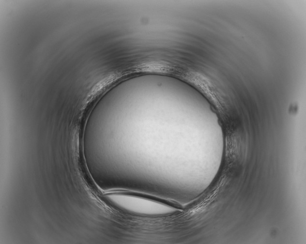 X0000096170349200801251156