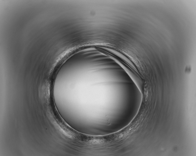 X0000096170350200801251156