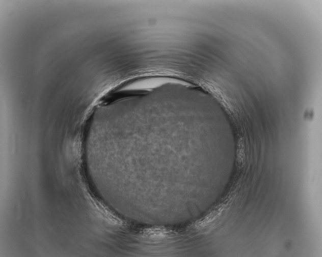 X0000096170351200801251156