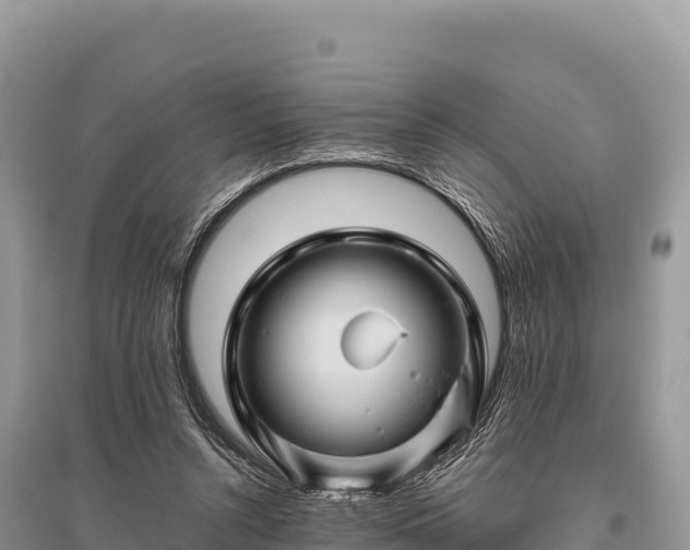 X0000096170352200801251156