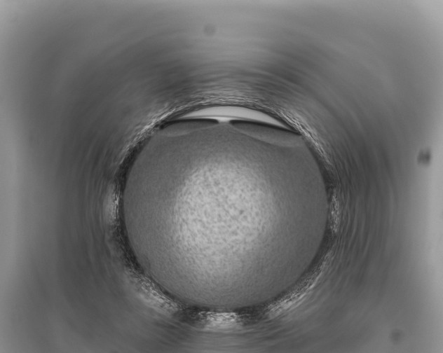 X0000096170355200801251156