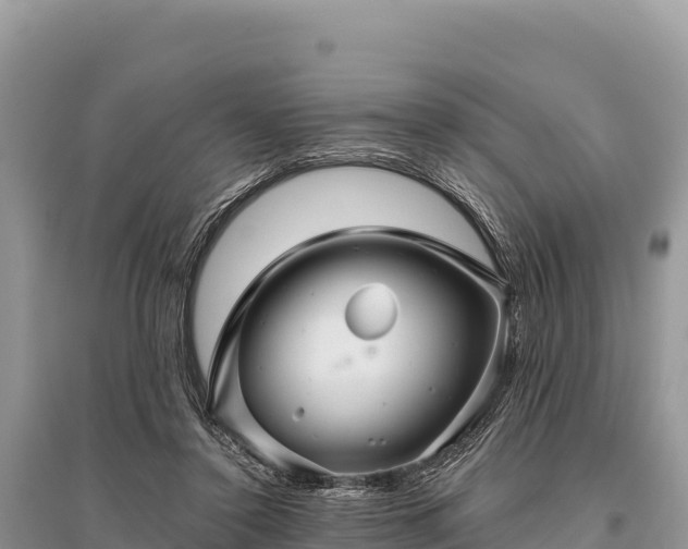 X0000096170356200801251156