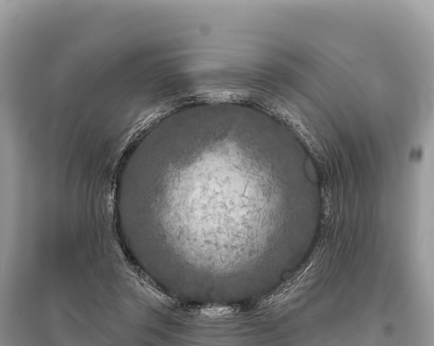 X0000096170357200801251156