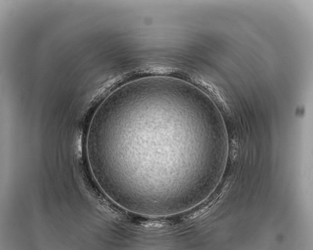 X0000096170358200801251156