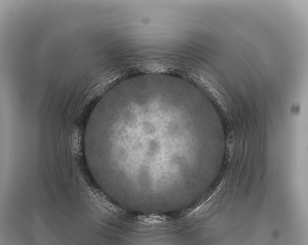 X0000096170359200801251156