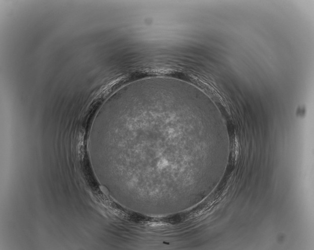 X0000096170360200801251156