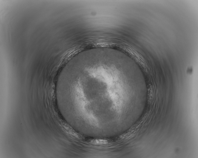 X0000096170361200801251156