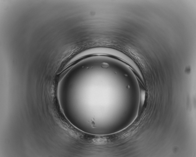 X0000096170362200801251156