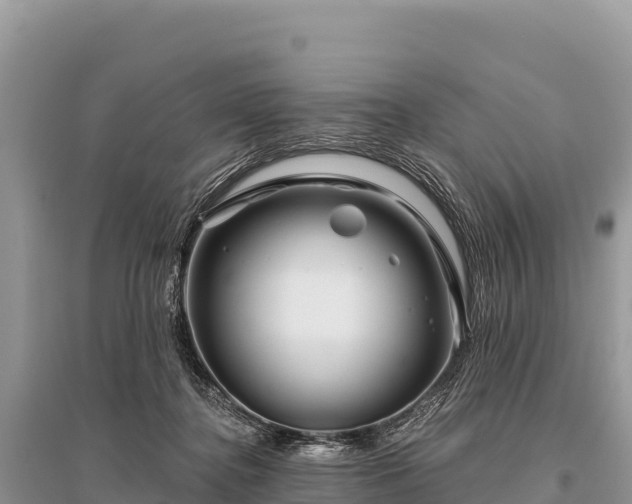 X0000096170364200801251156