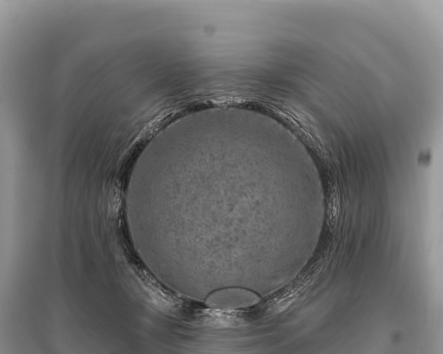 X0000096170367200801251156