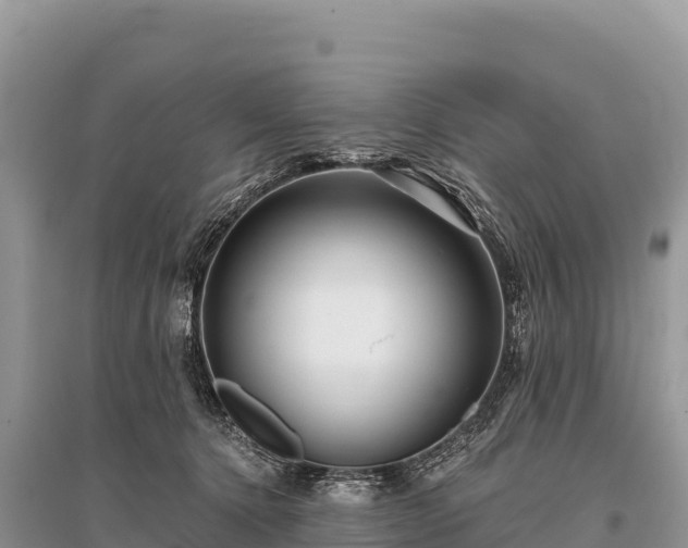 X0000096170368200801251156