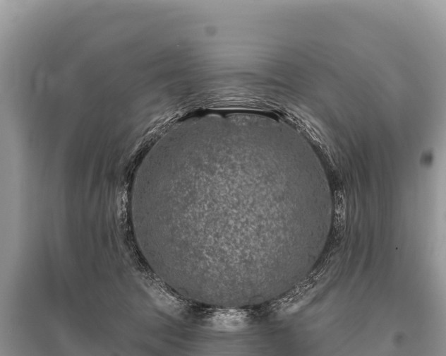 X0000096170369200801251156