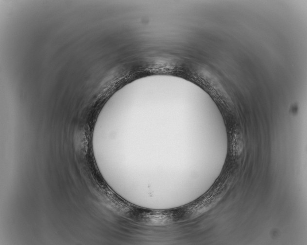 X0000096170370200801251156