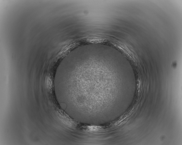 X0000096170371200801251156