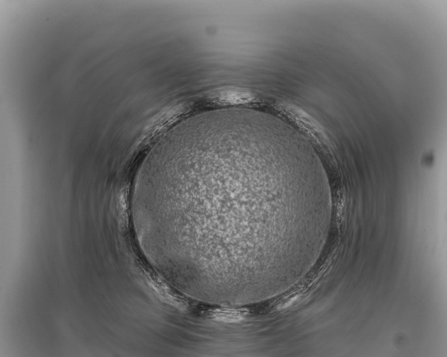 X0000096170373200801251156