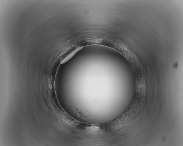 X0000096170374200801251156