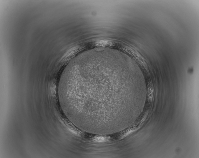 X0000096170375200801251156