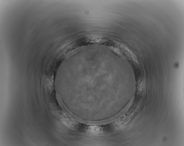 X0000096170376200801251156