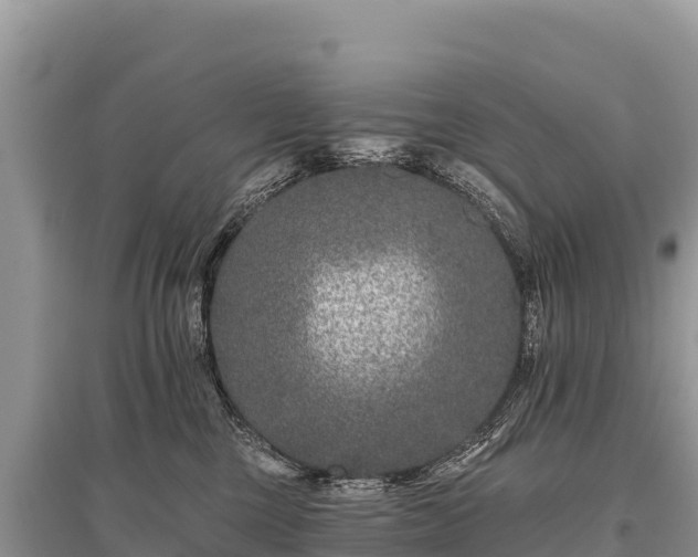 X0000096170377200801251156