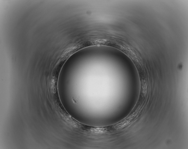 X0000096170378200801251157