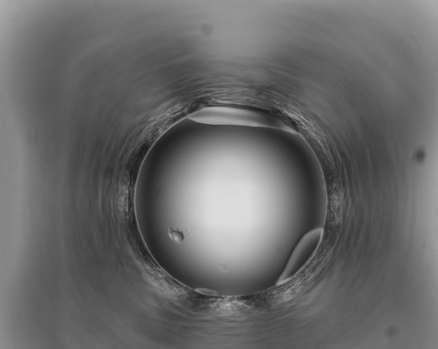 X0000096170379200801251157