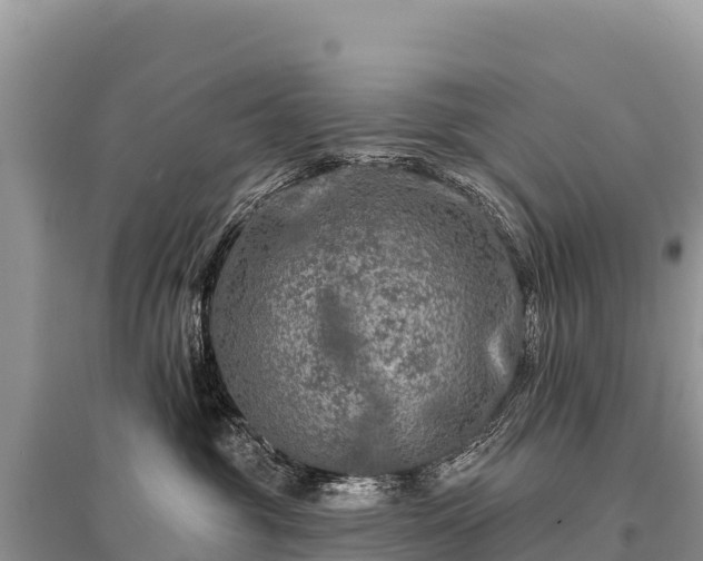 X0000096170381200801251157