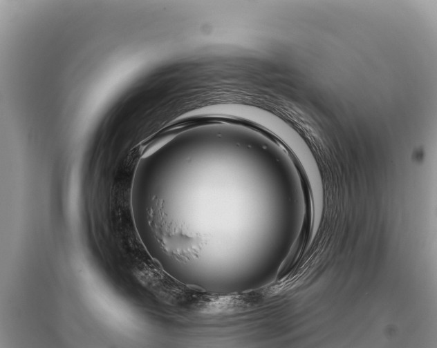 X0000096170382200801251157