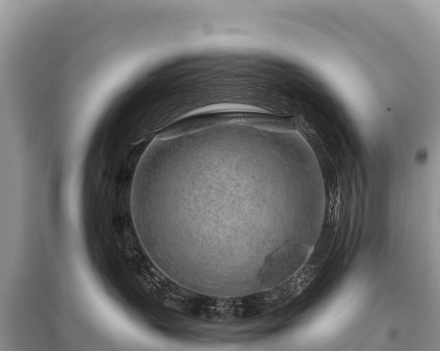 X0000096170383200801251157