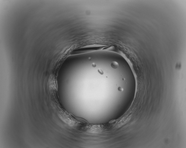 X0000096170384200801251157