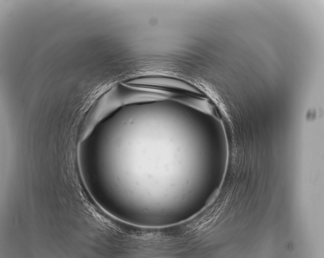 X0000096170385200801251156