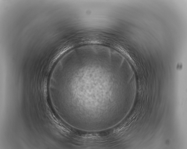 X0000096170386200801251156