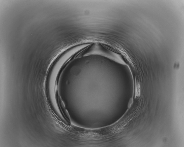 X0000096170387200801251156