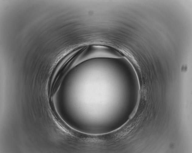 X0000096170389200801251156