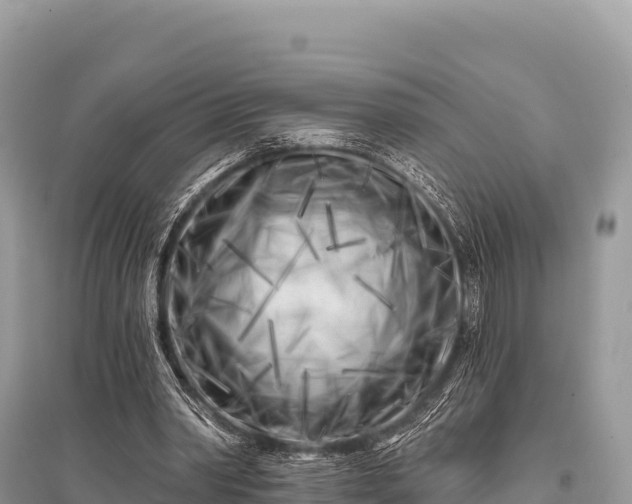 X0000096170390200801251156
