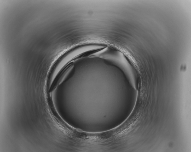 X0000096170391200801251156