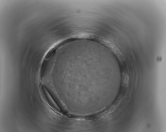 X0000096170392200801251156