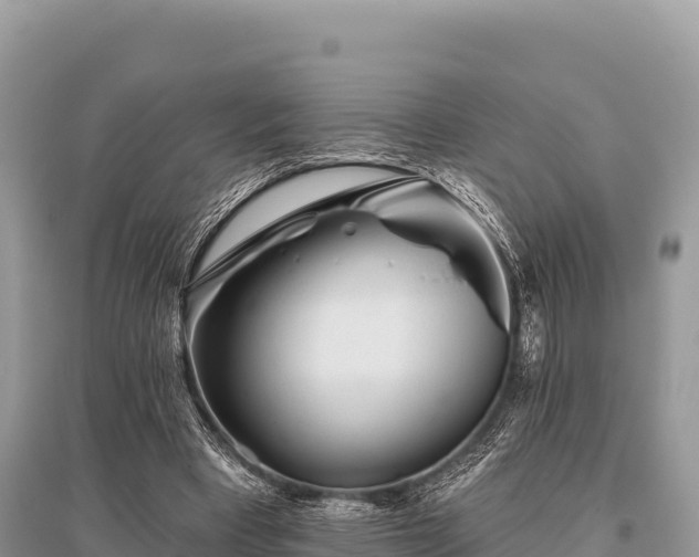 X0000096170393200801251156