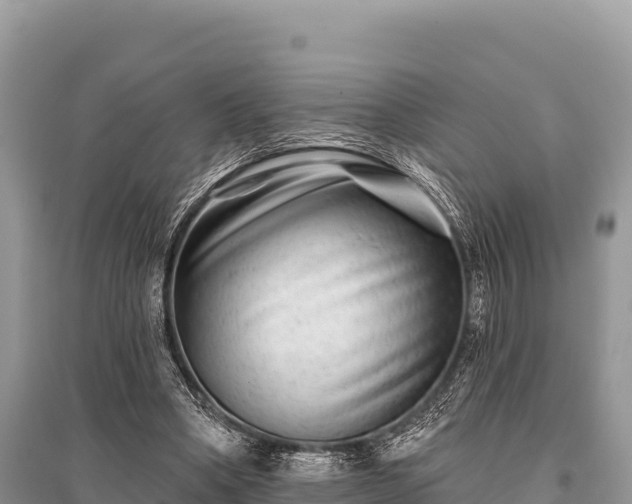 X0000096170394200801251156