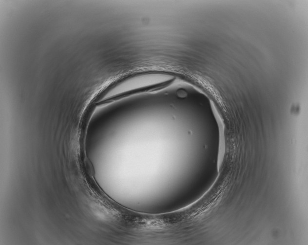 X0000096170395200801251156