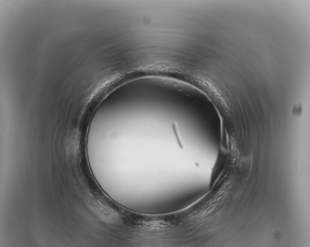 X0000096170396200801251156