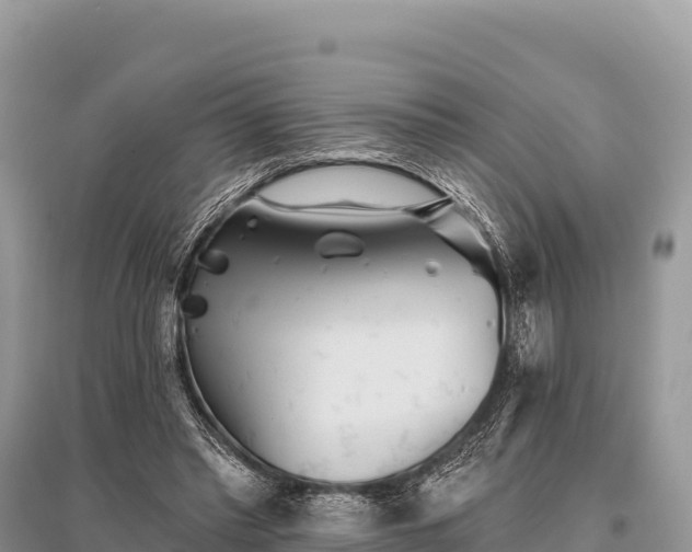 X0000096170397200801251156