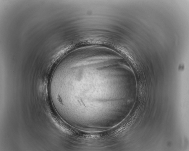 X0000096170398200801251156