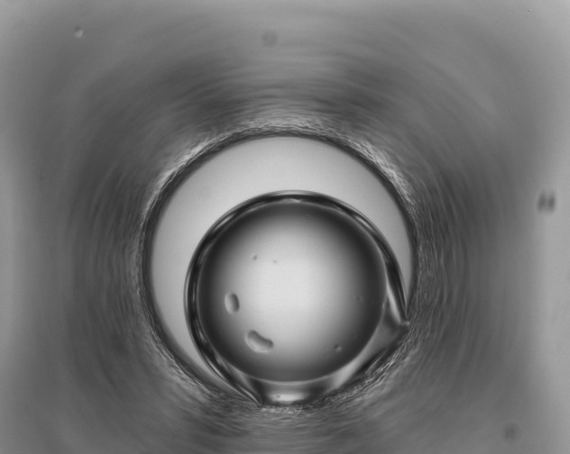 X0000096170399200801251156