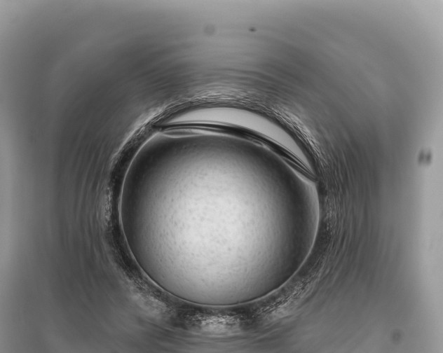 X0000096170400200801251156