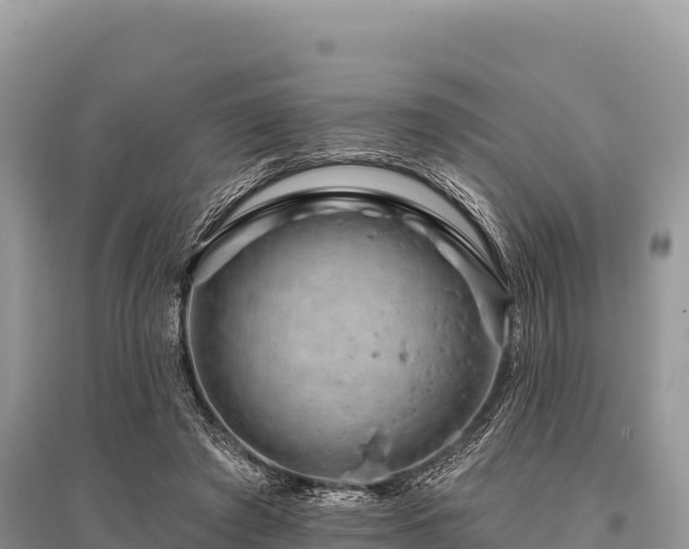 X0000096170401200801251156