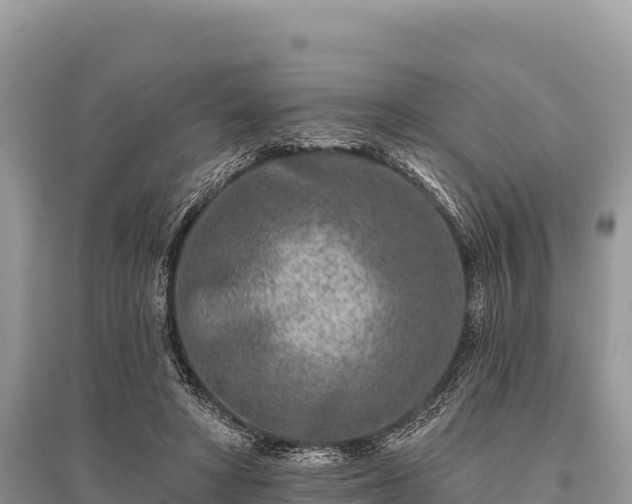 X0000096170402200801251156