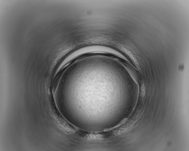 X0000096170403200801251156