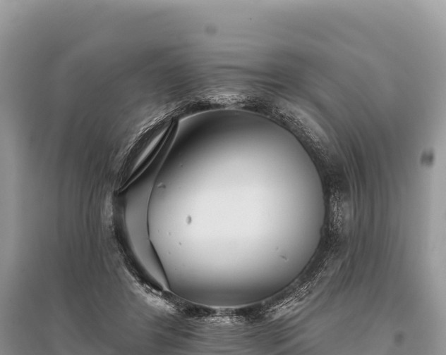 X0000096170404200801251156