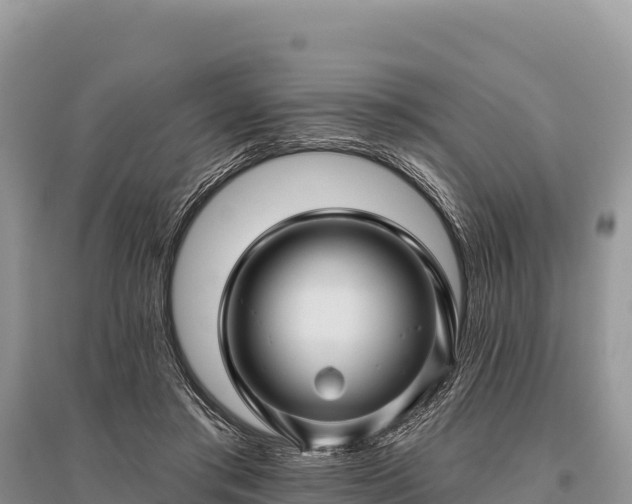 X0000096170405200801251156