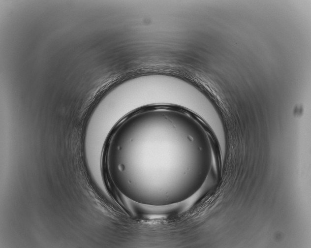 X0000096170407200801251156